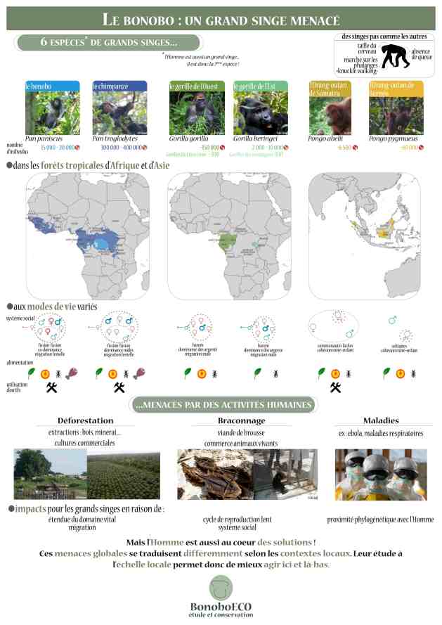 poster2_grandssinges_final_comp