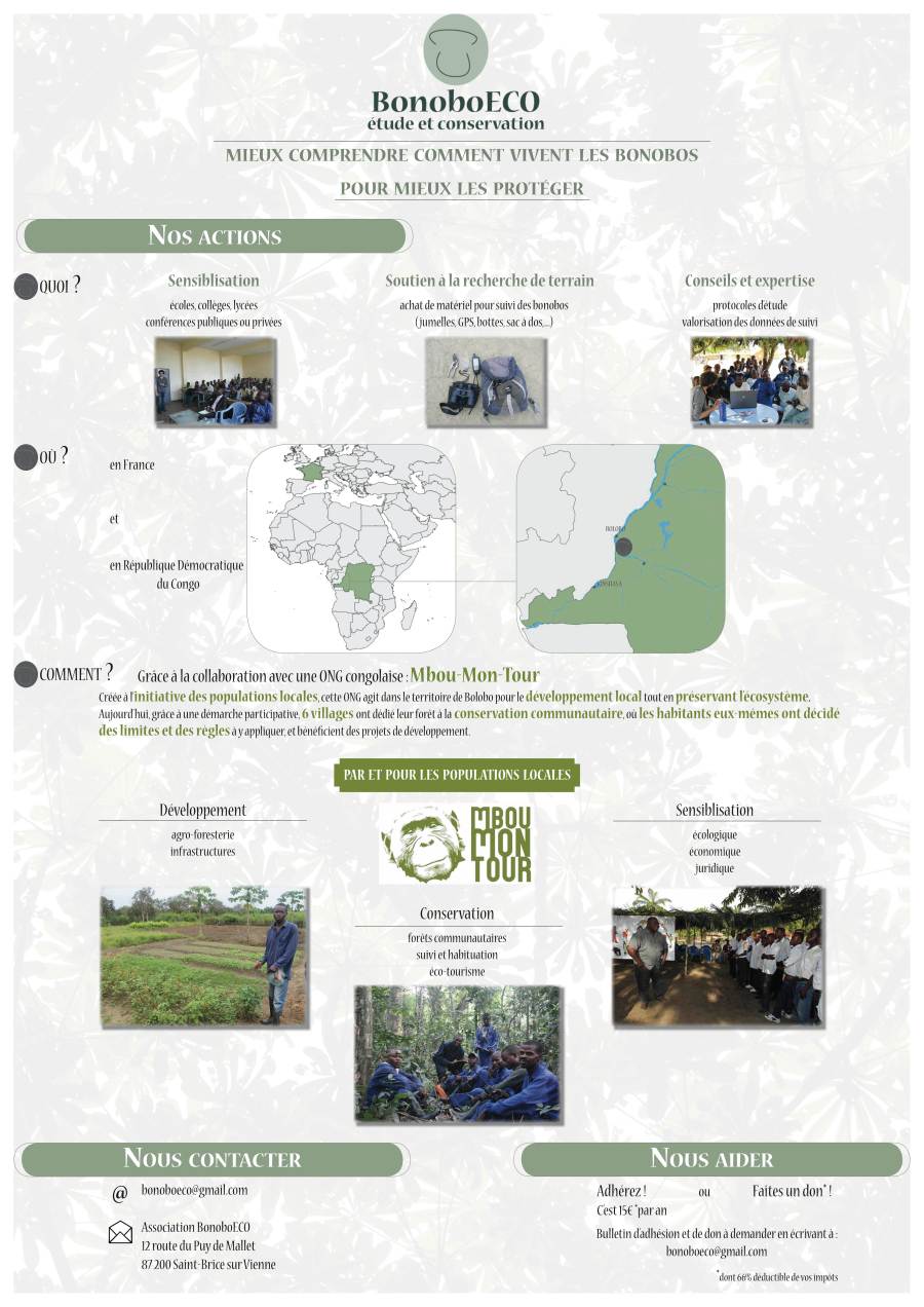 poster1_bonoboEco_final_comp