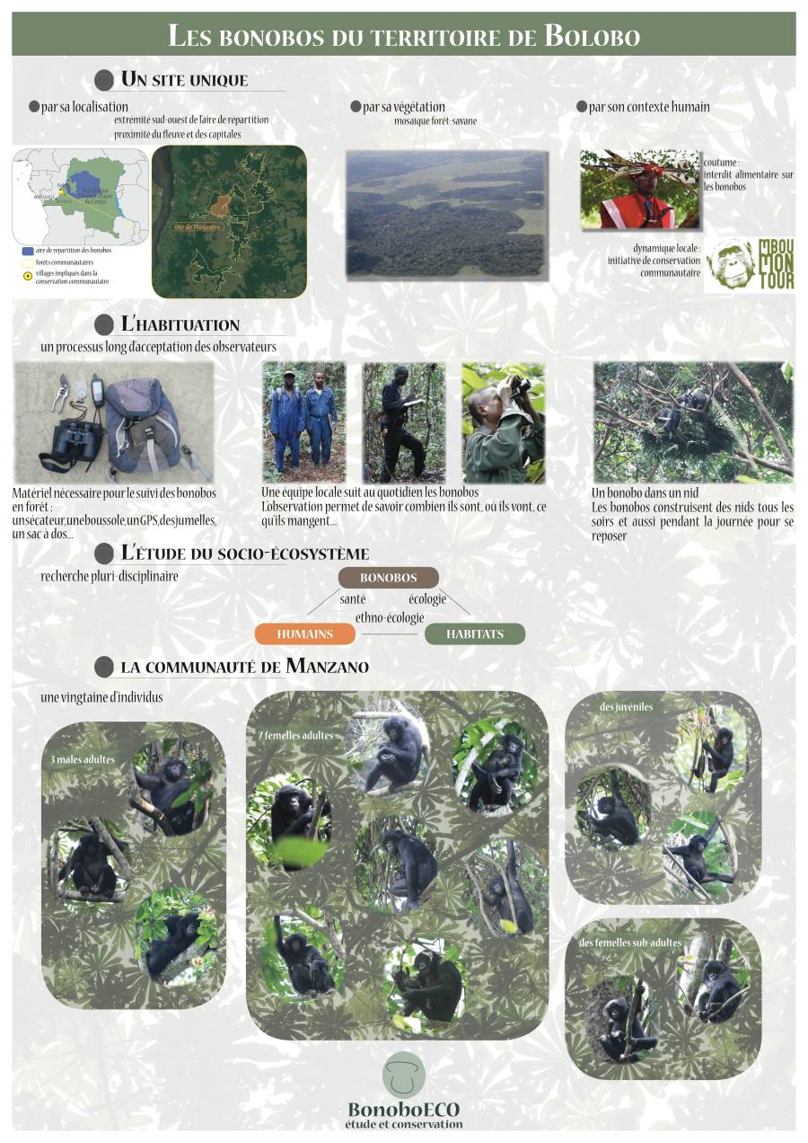 poster3_Manzano_final_comp